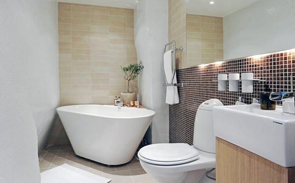 small bathroom interior design