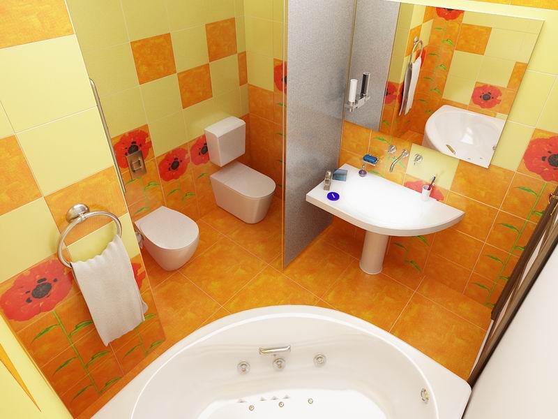 combined bathroom and toilet