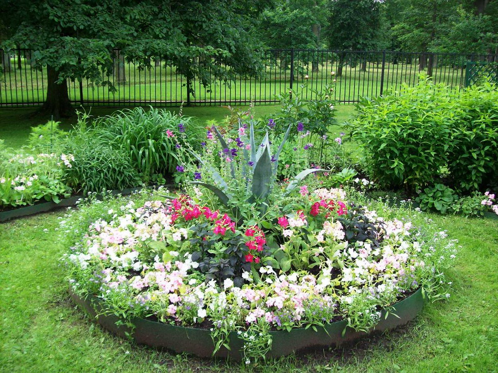 Flower bed on the dacha