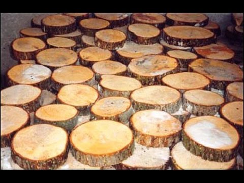 Как сделать дорожки на даче. Недорогой вариант