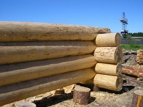 Из чего построить баню. Часть 1 - Сруб.