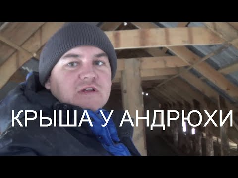 VLOG: Крыша у Андрюхи. Почему я не убираю Кору с дерева. Обзор