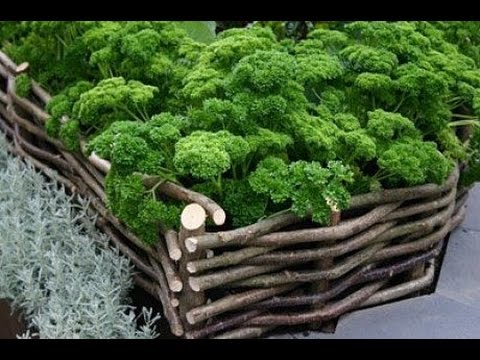 Какие бывают ограждения для клумб