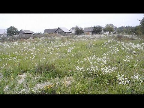 Фундамент для дома своими руками ч.1