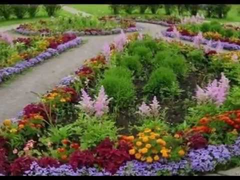 Красивый цветник.  Клумба  своими руками. Ландшафтный дизайн.